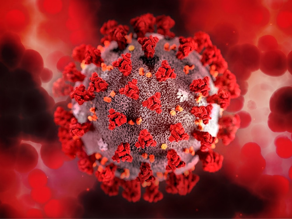 A stylized image of a COVID virus, shown as bright red.