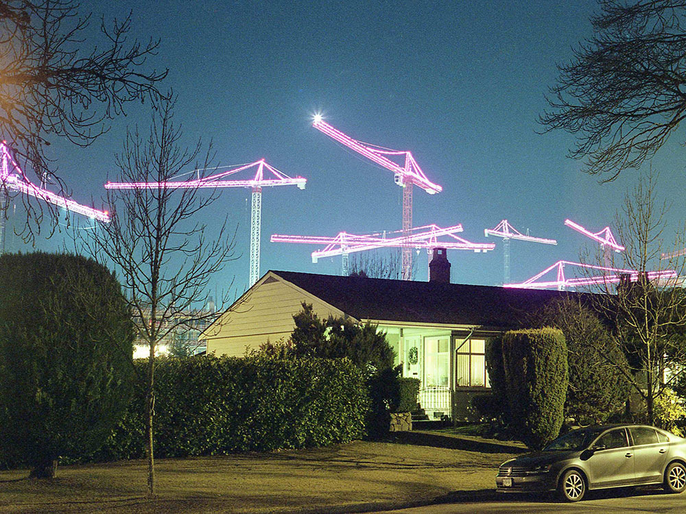 A house at night with a dozen tall pink cranes in the background.