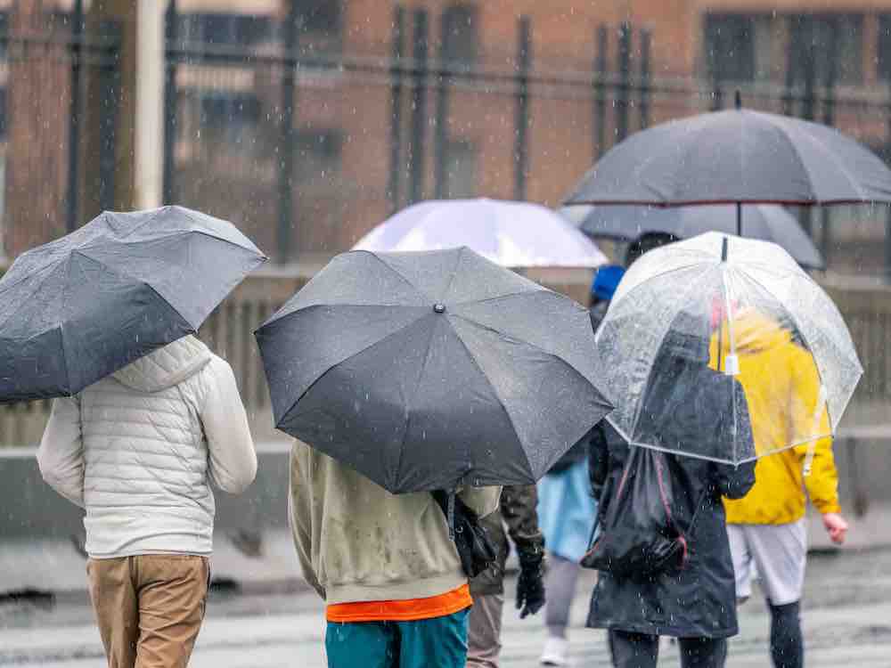 A small crowd with their backs turned to the camera moves down a rainy downtown street on a grey day. They are clad in rain gear and jackets and are holding umbrellas.