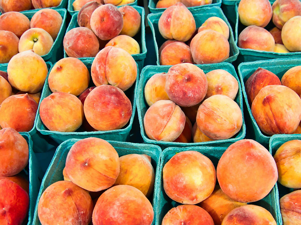 Large ripe peaches are piled in square green cardboard baskets on a flat surface.