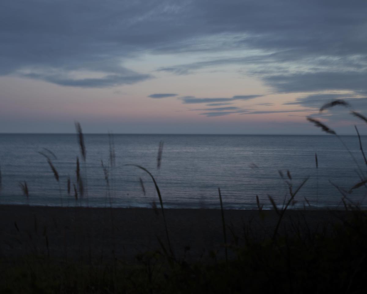 A view of the ocean from a beach at dusk. Tall grasses are in silhouette in the foreground and the darkening sky is pink and blue.