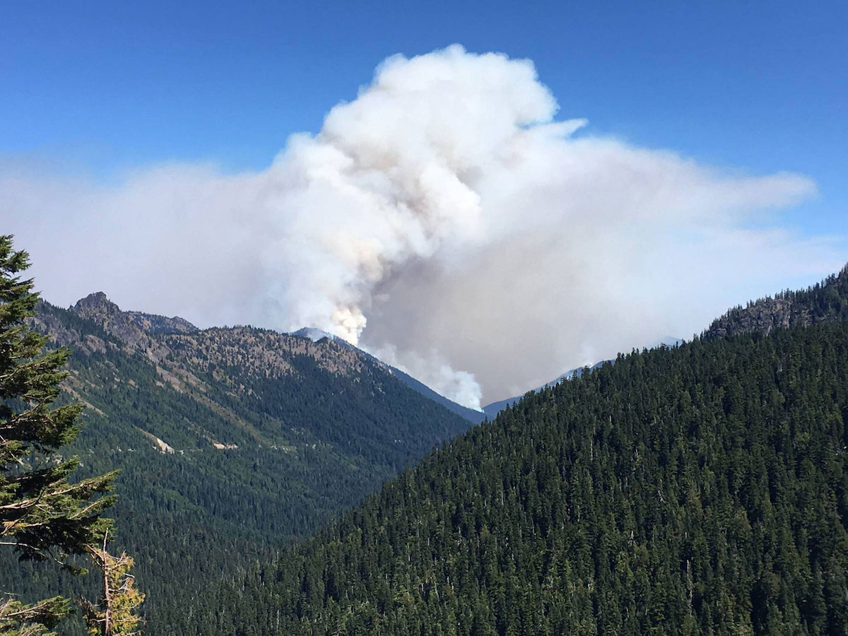 A plume of smoke rises from a treed mountainous area.