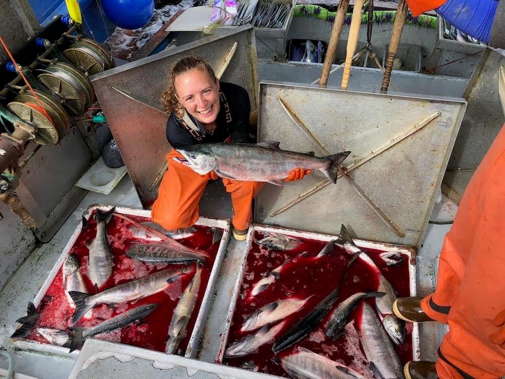 A woman with light skin and tied-back curly blond hair, and wearing orange rain pants, holds a chum salmon over two square bins full of salmon in bloody water.